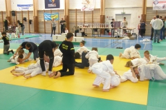 Tournoi de judo Vauvert 2017