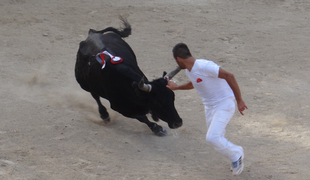 Garlan (Les Baumelles) / Anthony Ayme