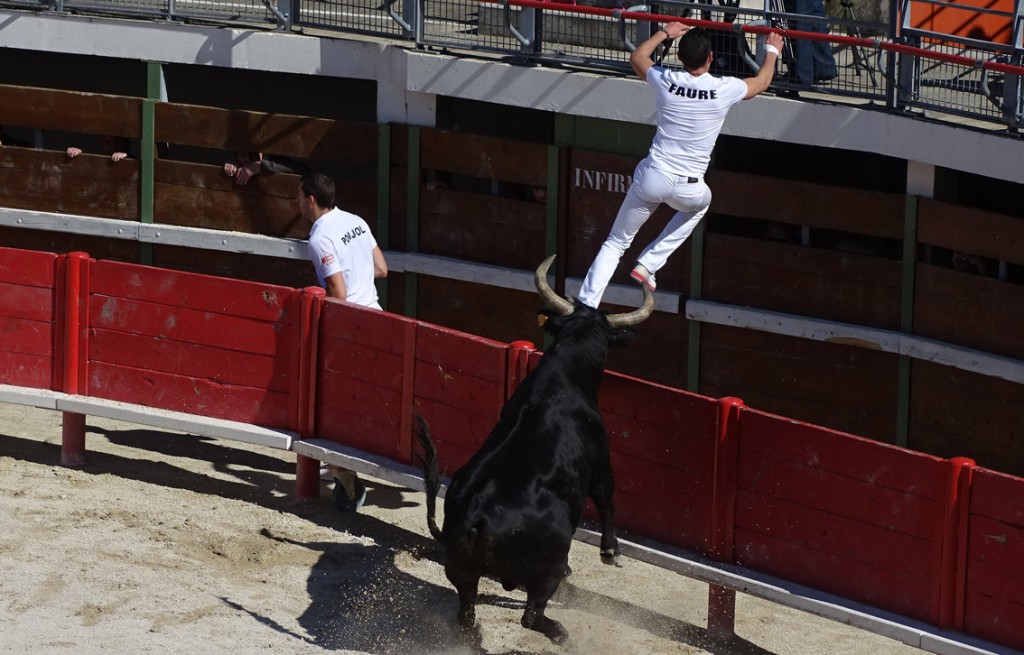 Camerone (Paulin) sur Faure