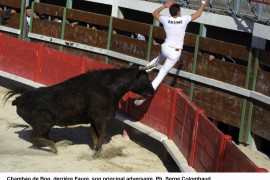 Chambao (Bon) sur Faure Photo © Serge Colombaud