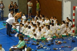 Le Judo Club de Vauvert