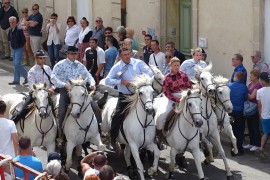 Manade des Oliviers