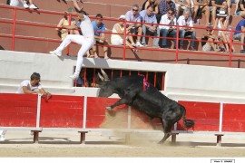05_escamillo-i benafitou