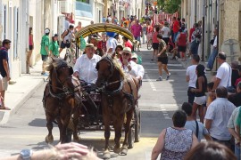 06_abrivado