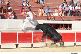 06_escamillo-belgourari_2