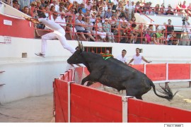 09_0_cesarion(blat)-belgourari_1
