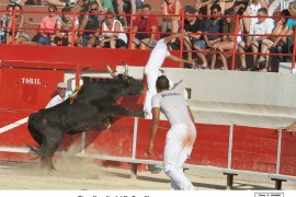10_piros-n benafitou_1
