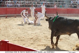 07_purpan-valette_8