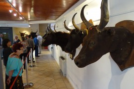 01 Expo