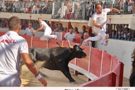 05_chico (lautier)_four_1