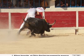 06_chico (lautier)_aliaga_1
