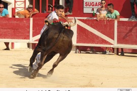 07_sugar (nicollin)_i  benafitou
