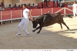 08_scipion (saumade)_katif_2