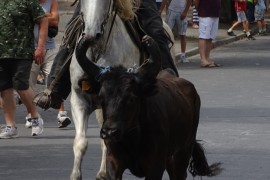 09_abrivado_av_costieres