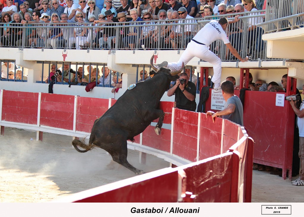 00_gastaboi (guillerme)_allouani_1_1
