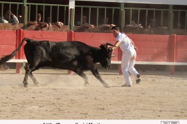 04_attila (baumelles)_martin