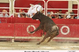 04_bendor (ricard)_allouani
