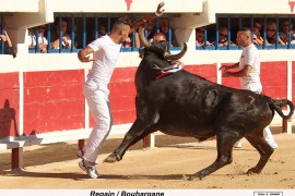 04_regain (baumelles)_bouhargane_2