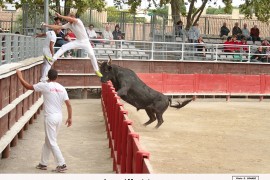 05_jason(blat)_moutet_1