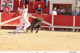 05_ulysse (rouquette)_aliaga_2_1