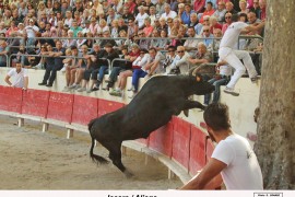 06_icarre (paulin)_aliaga_2_1