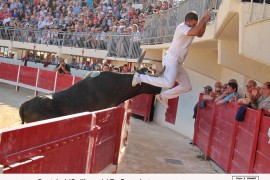 07_gastaboi (guillerme)_bruschet_2