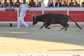 08_banaru (le rhone)_i  benafitou_1