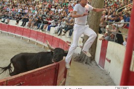 08_indian (laurent)_aliaga_2