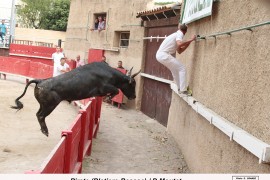 08_pirate (blat)_moutet_1
