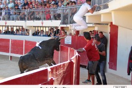 09_bayle (vinuesa)_benafitou003