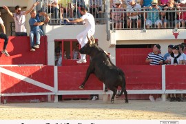 11_camerone (paulin)_i  benafitou_3