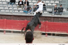 11_courrejau (blat)_soler_3