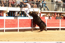 12_camerone (paulin)_allouani_2