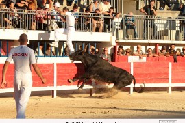 13_coti chiavari (chaballier)_allouani_4