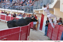 14_camerone (paulin)_allouani_4