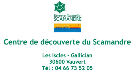 Logo Scamandre_14