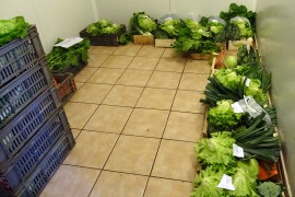 Stockage des paniers de légumes