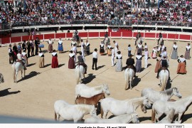 01_capelado le grau 15 mai 16_3