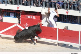 02_bayle (vinuesa)_bouhargane