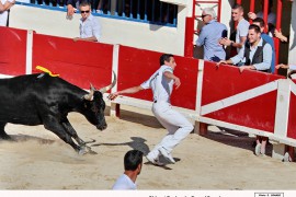 04_chico (lautier)_favier_1