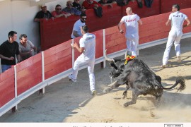 05_chico (lautier)_bouhargane