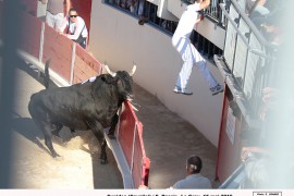 08_cupidon (cavalini)_rassir_3