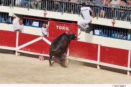 10_optimus (beaumelles)_belgourari_2_1