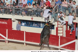 13_marengo (vellas)_belgourari_1_1