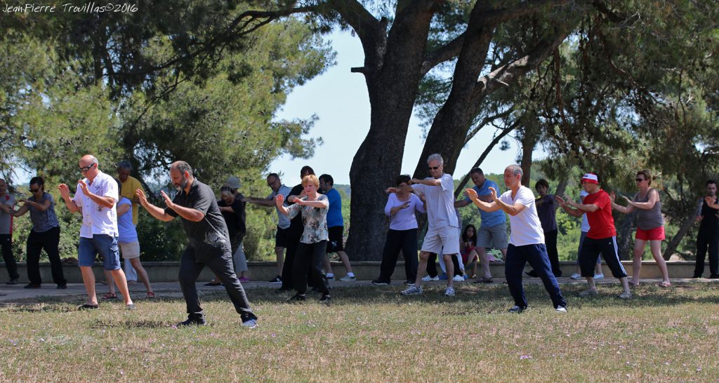 Tai-Chi-Chuan (01)