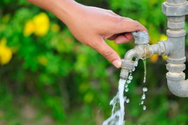 L'eau du jardin