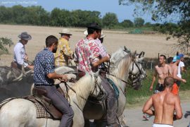 abrivado-(03)