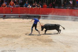 abrivado-(16)