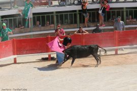 abrivado-(17)