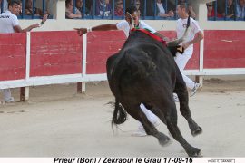 02_prieur-bon_zekraoui_1